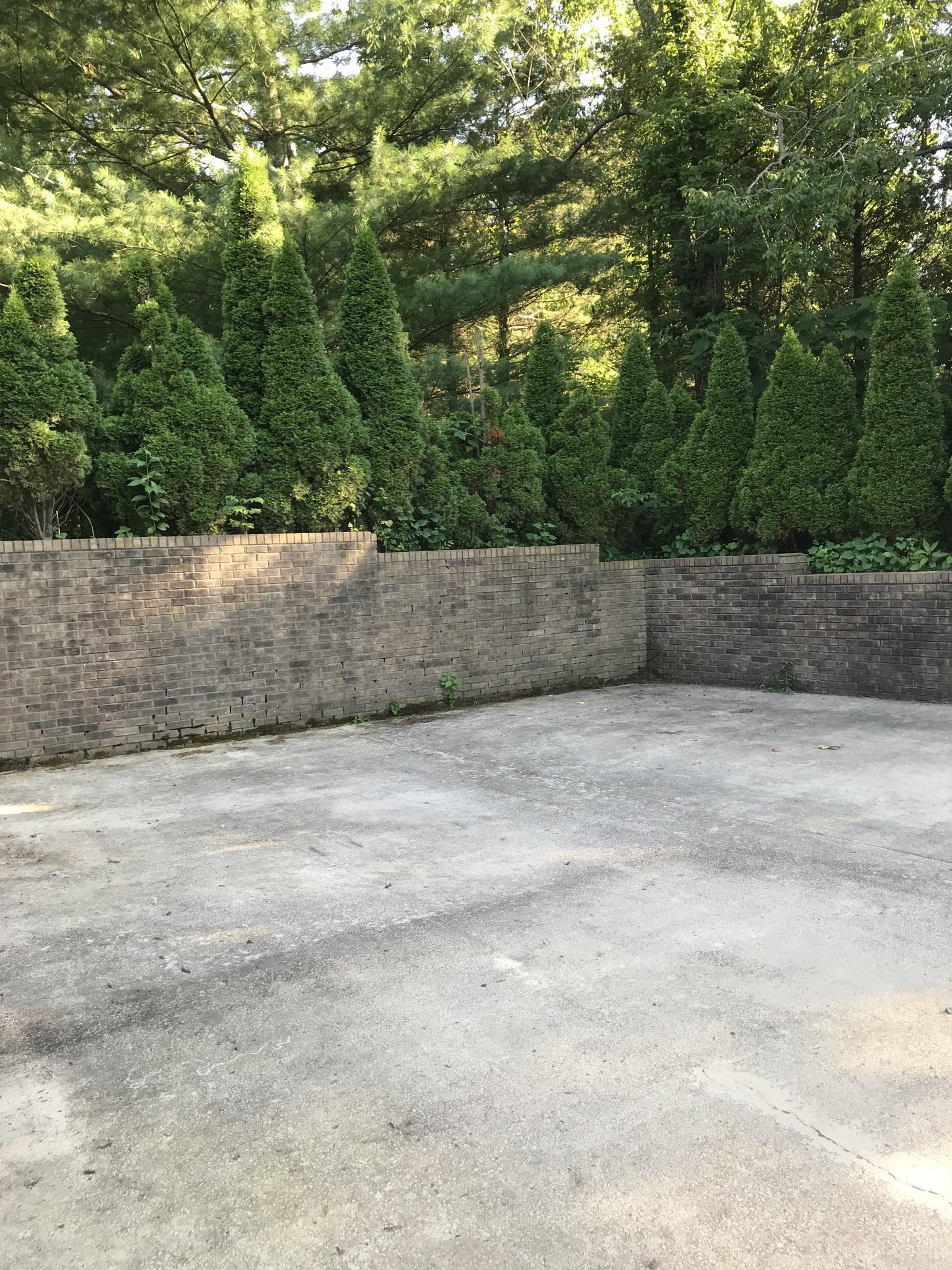 3719 Tarsus Road Palmyra, TN 37142 - Photo 24 of 49 Gallery Image 24