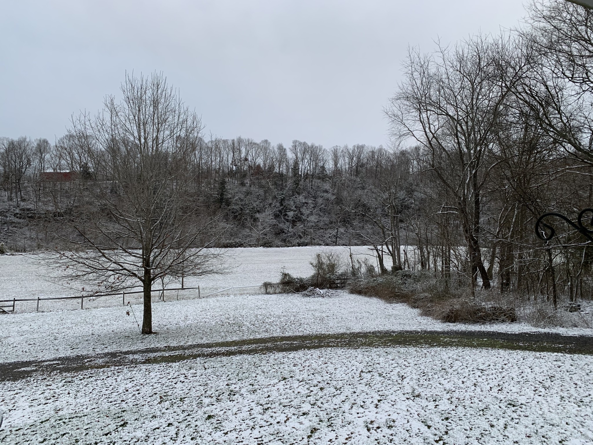 3719 Tarsus Road Palmyra, TN 37142 - Photo 8 of 49 Gallery Image 8