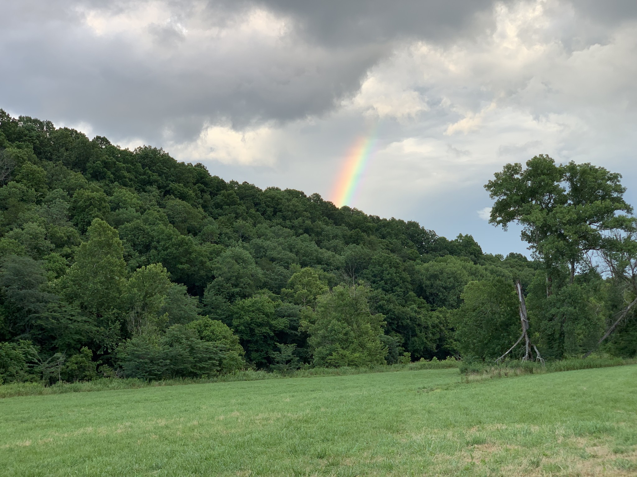 3719 Tarsus Road Palmyra, TN 37142 - Photo 9 of 49 Gallery Image 9
