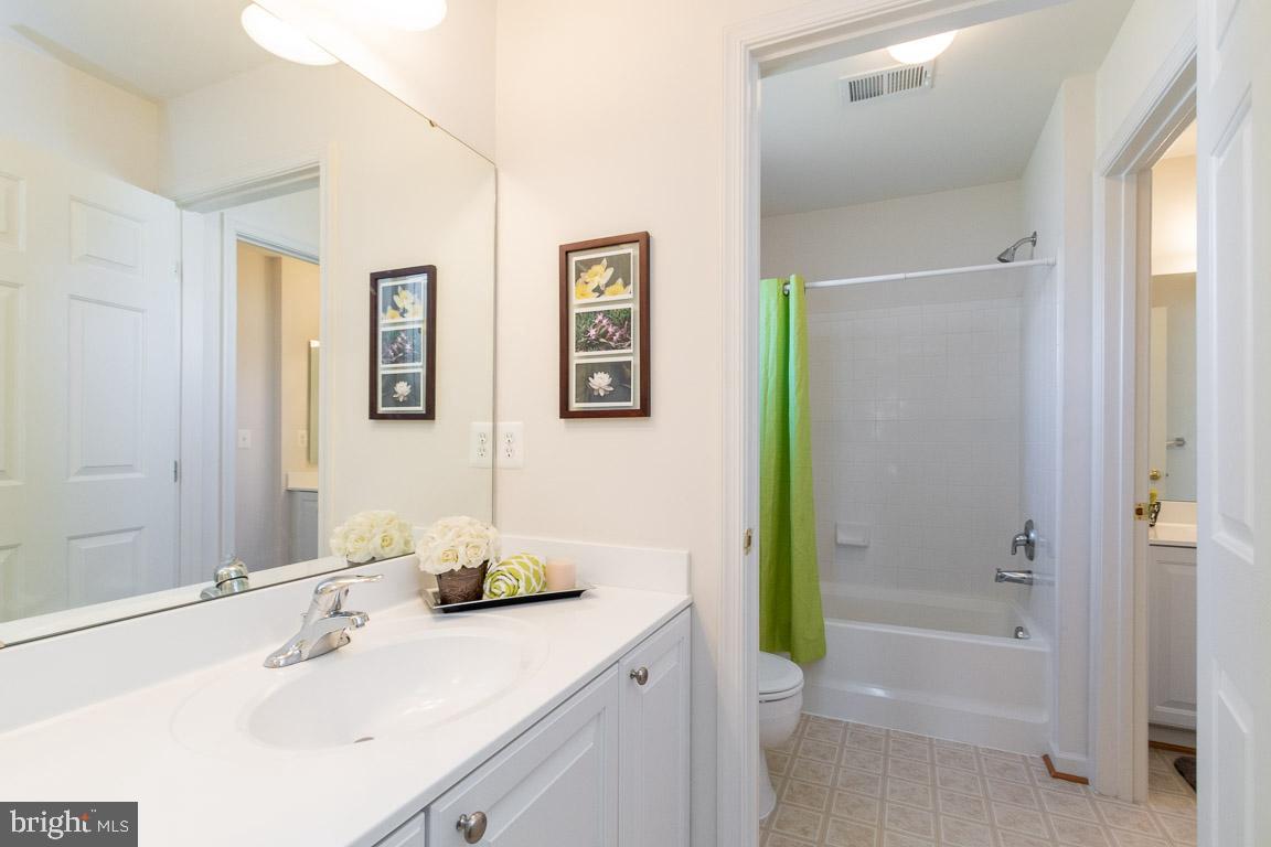 4623 Spring Run Road Warrenton, VA 20187 - Photo 33 of 53 Buddy bath.