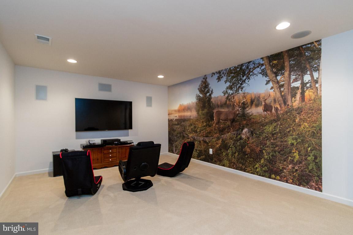 4623 Spring Run Road Warrenton, VA 20187 - Photo 38 of 53 Media room!