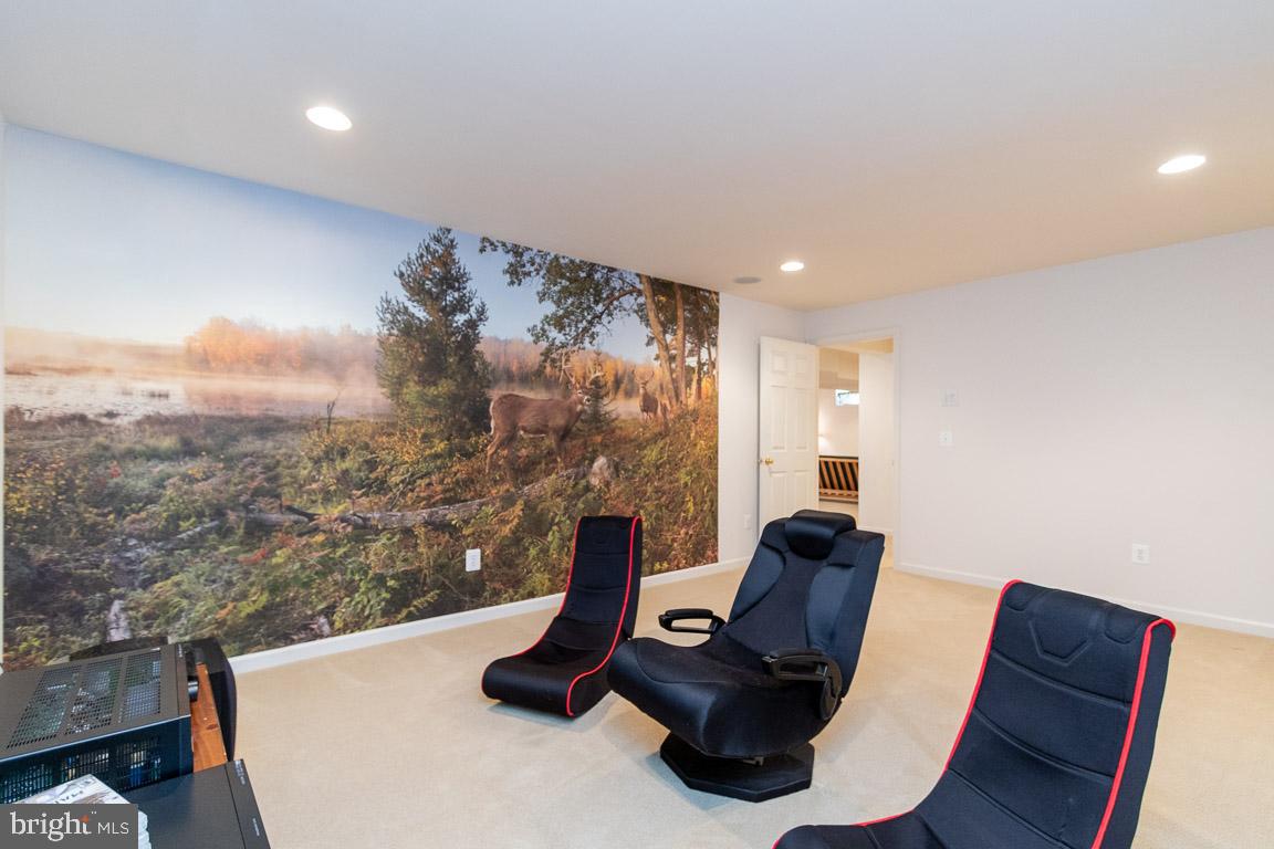 4623 Spring Run Road Warrenton, VA 20187 - Photo 40 of 53 Great for video games also!