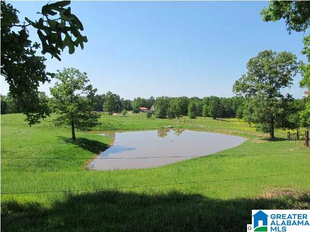 4100 Blue Cutt Road Pell City, AL 35128 - Photo 4 of 32