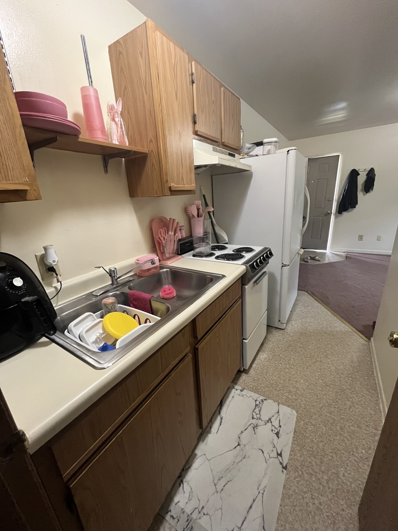 528 College Avenue DeKalb, IL 60115 - Photo 6 of 8 a kitchen with a stove a refrigerator and a sink