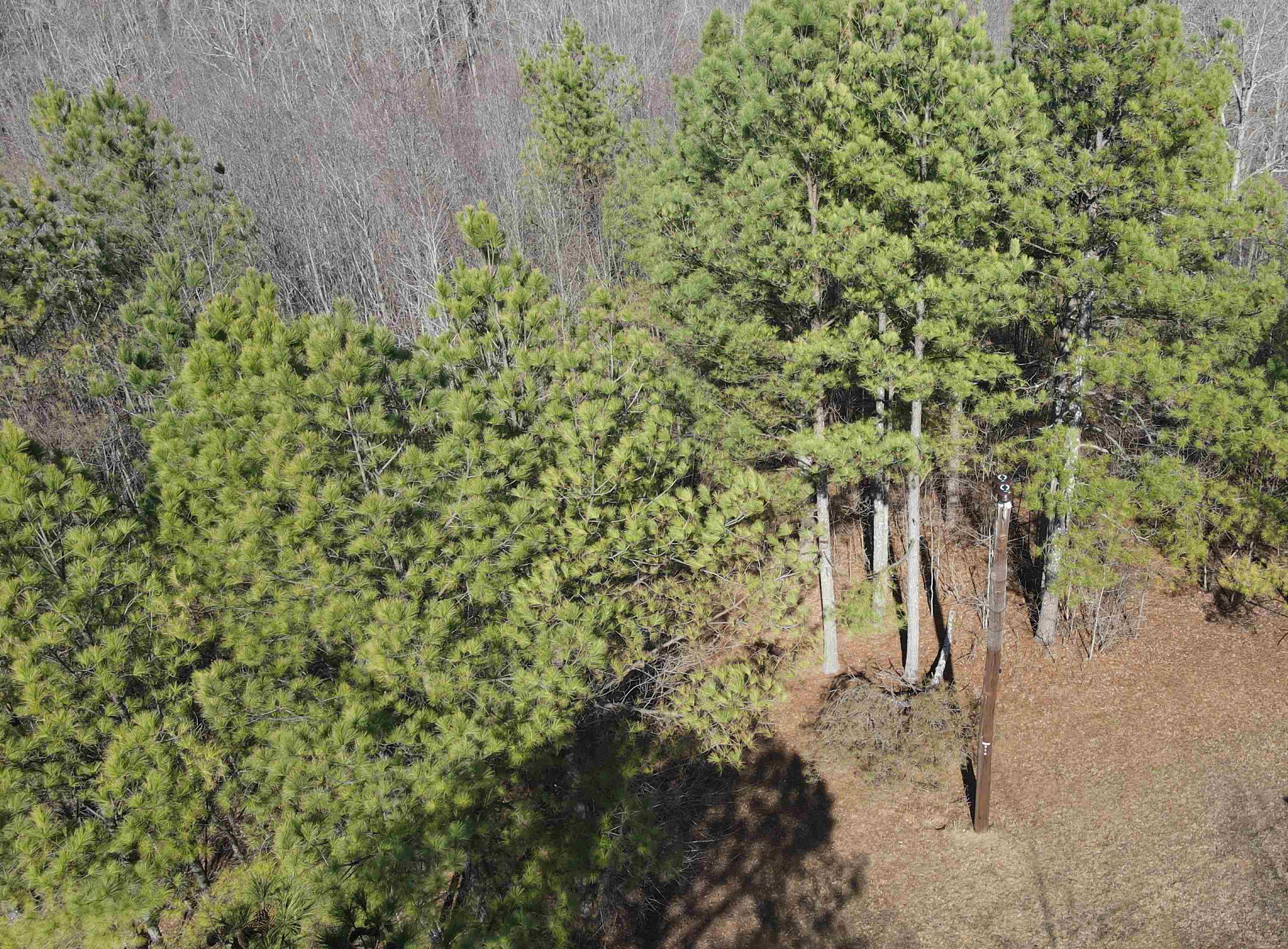 0 Jr Keeton Road Waynesboro, TN 38485 - Photo 1 of 15 Gallery Image 1