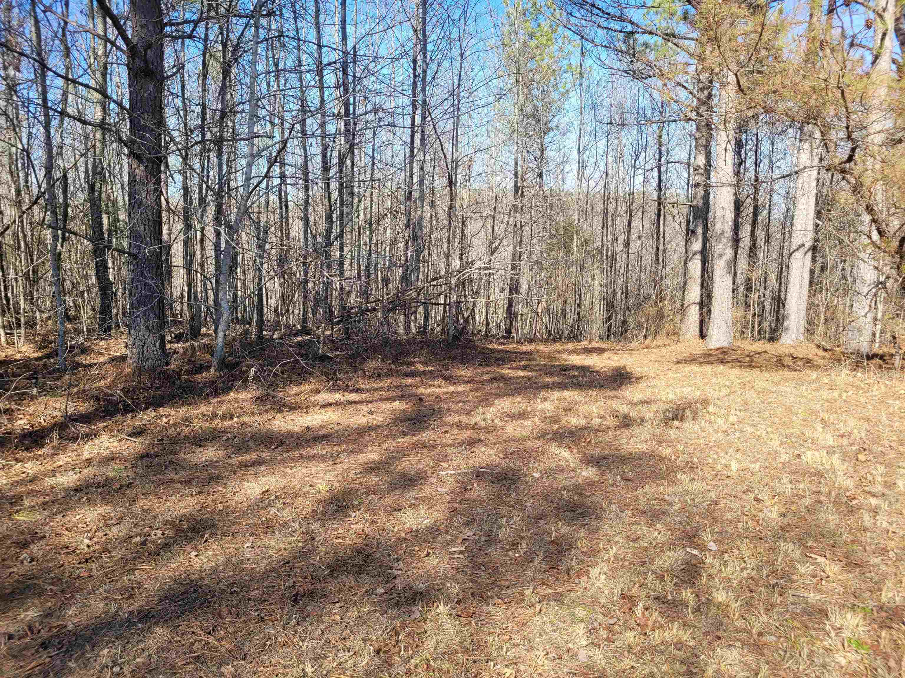 0 Jr Keeton Road Waynesboro, TN 38485 - Photo 11 of 15 Gallery Image 11
