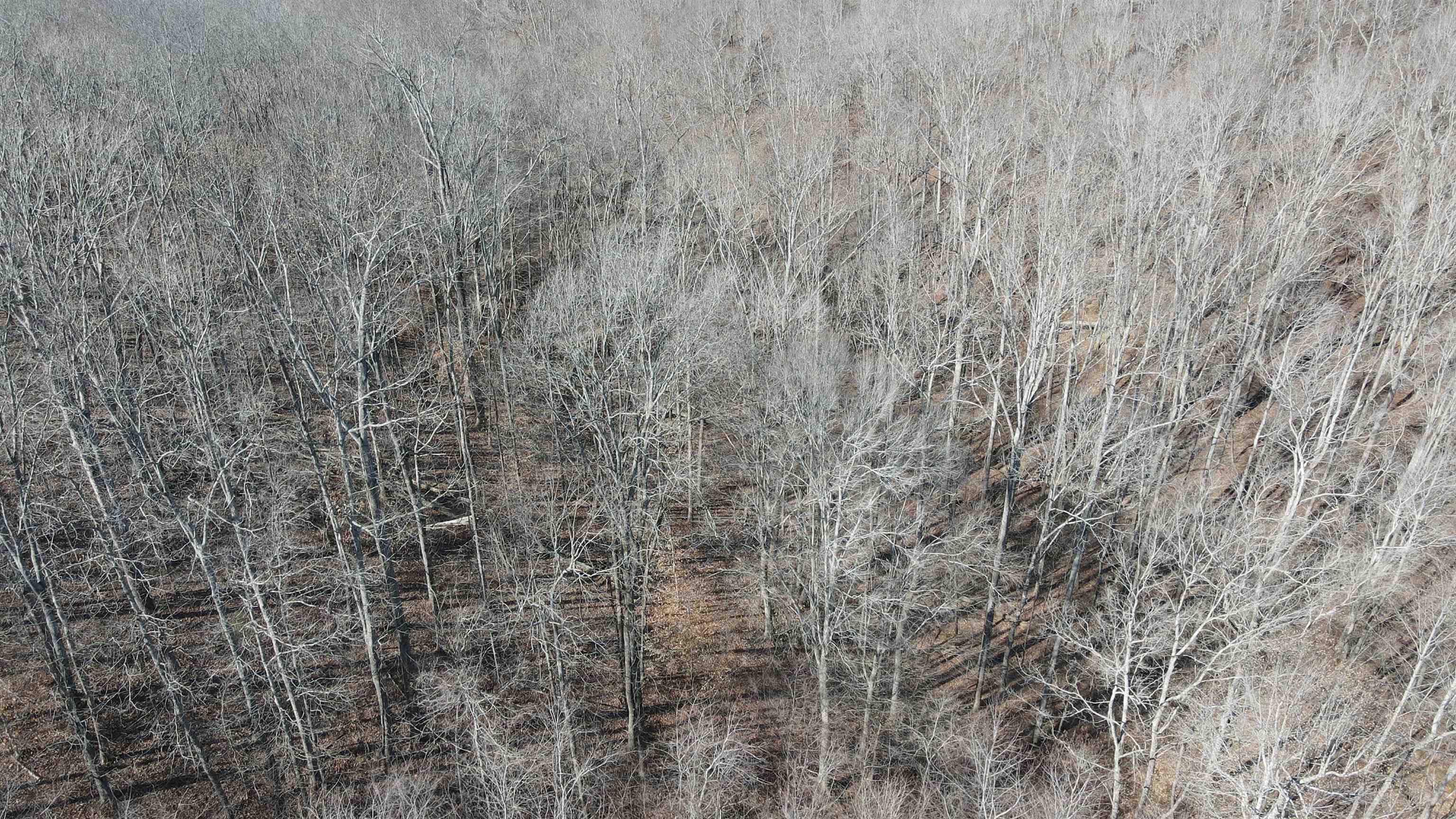 0 Jr Keeton Road Waynesboro, TN 38485 - Photo 12 of 15 Gallery Image 12