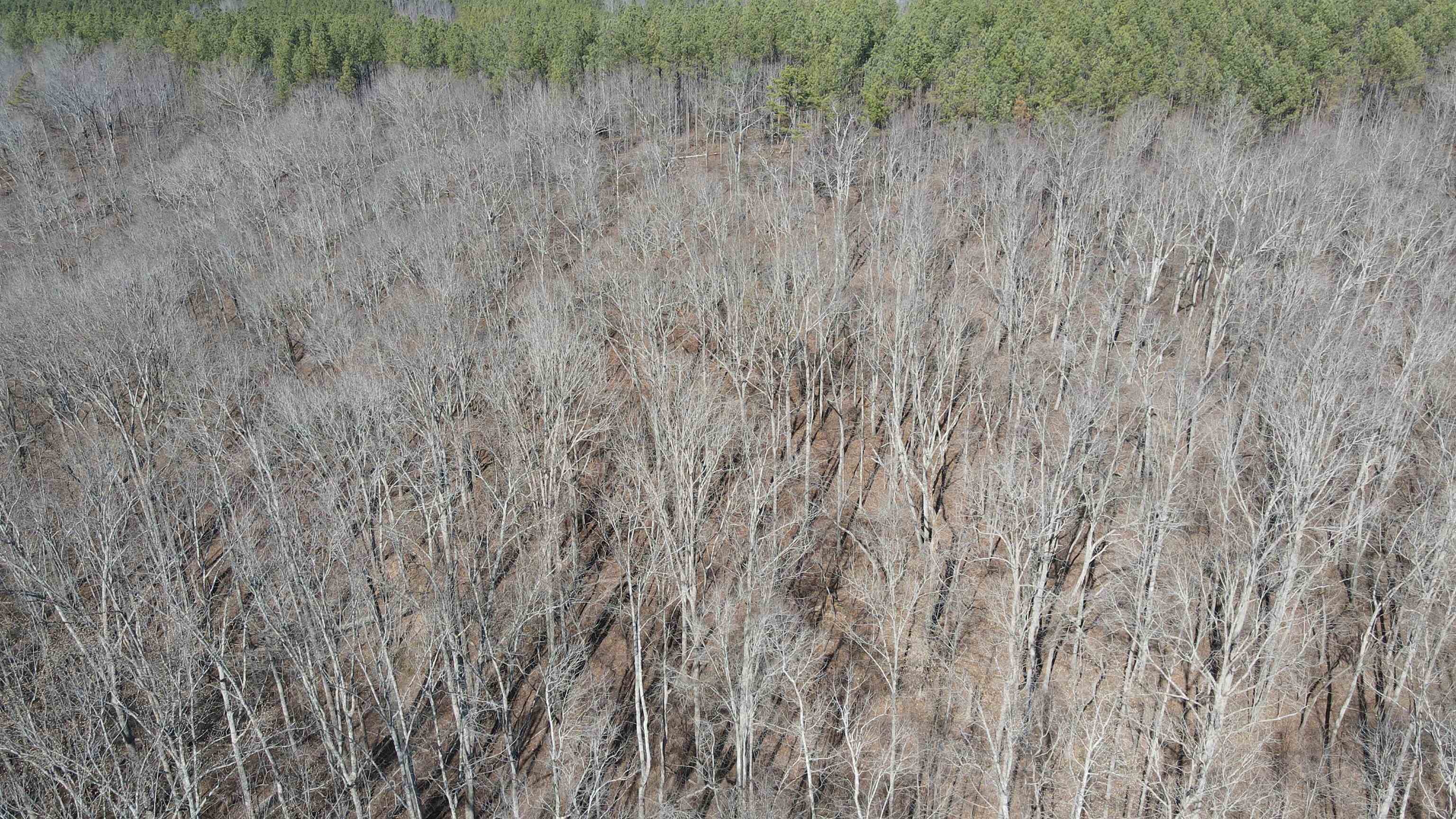 0 Jr Keeton Road Waynesboro, TN 38485 - Photo 13 of 15 Gallery Image 13