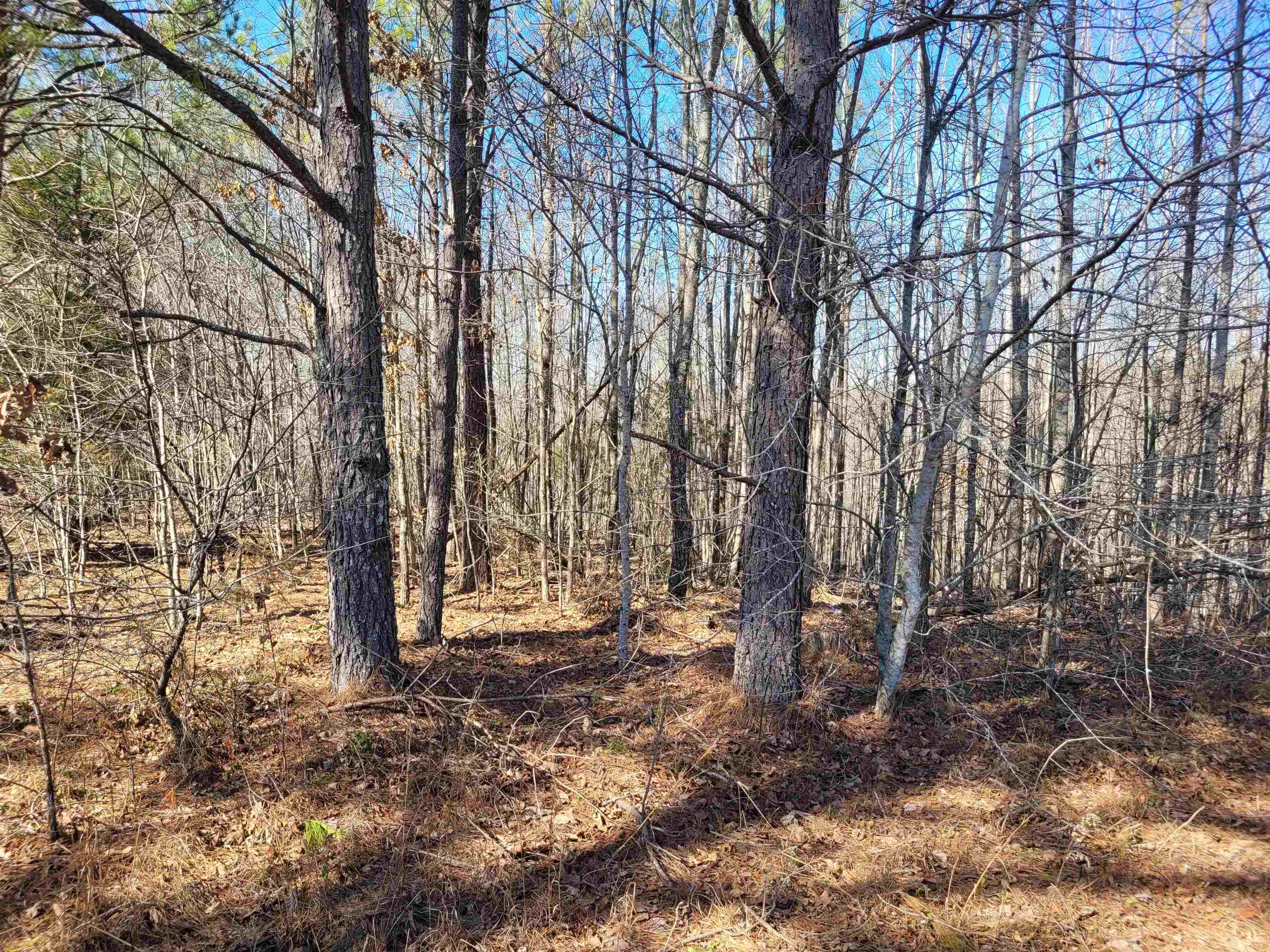 0 Jr Keeton Road Waynesboro, TN 38485 - Photo 10 of 15 Gallery Image 10