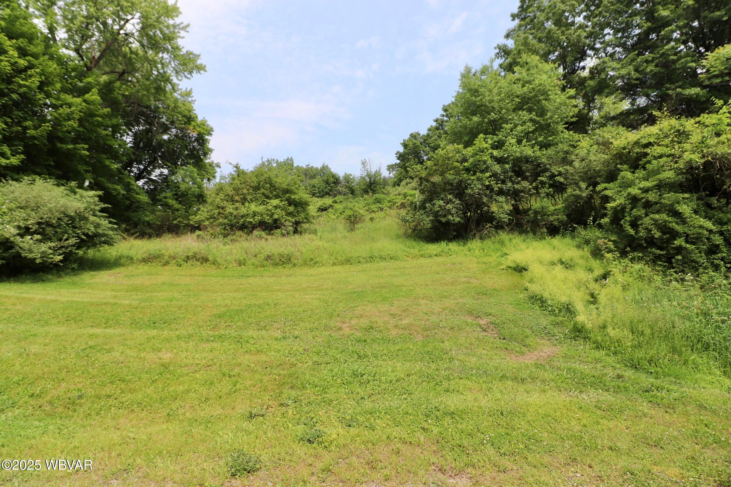 1964 Poco Farm Road Williamsport, PA 17701 - Photo 25 of 30 Yard