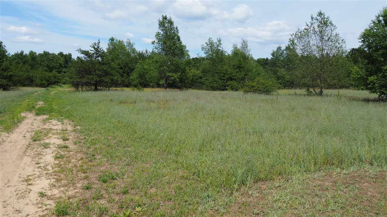 18392 Karlin Road Thompsonville, MI 49683 - Photo 35 of 37 1890145-34.JPG