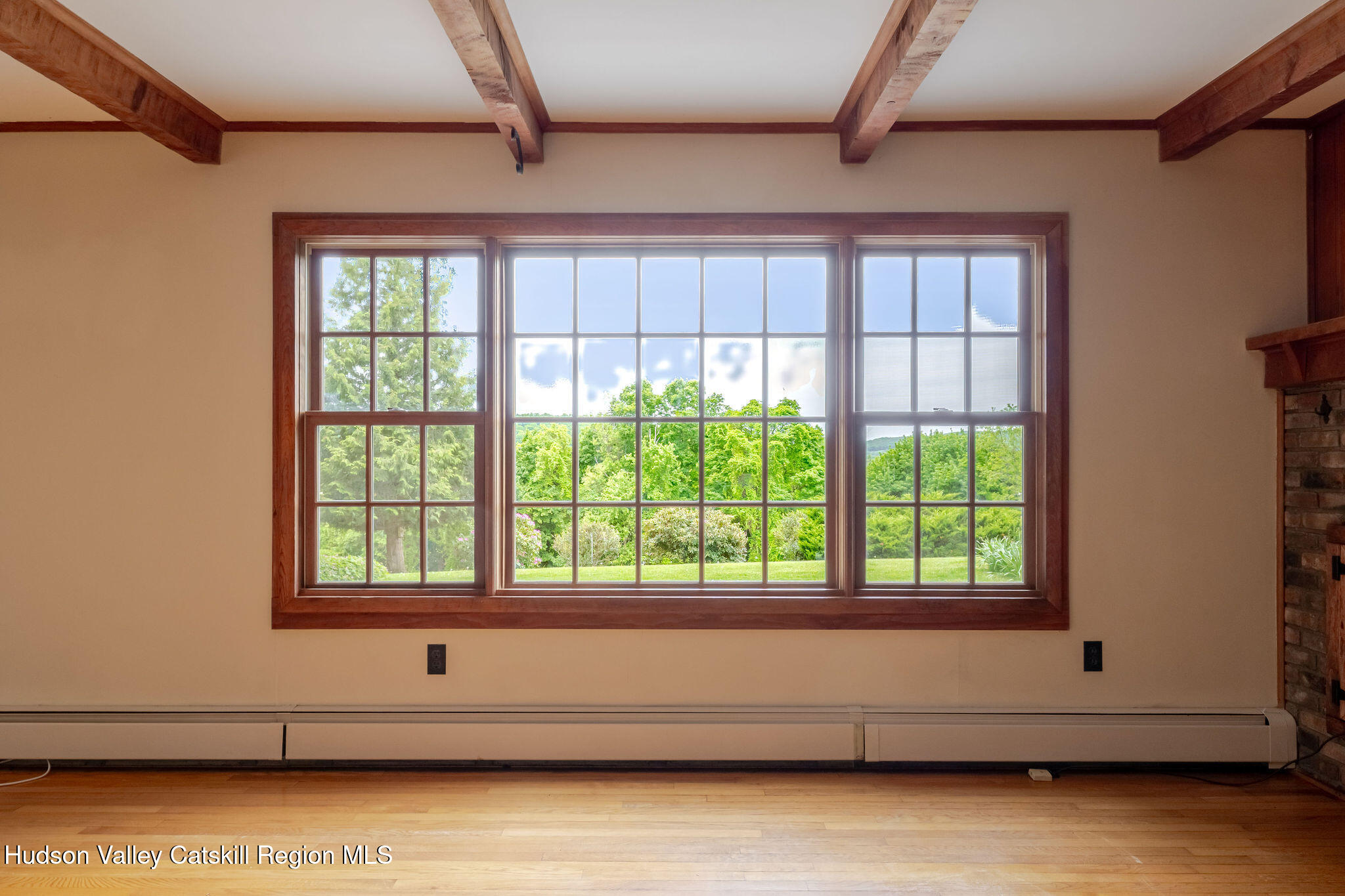 162 Valley View Road Copake Falls, NY 12517 - Photo 20 of 61 LR view
