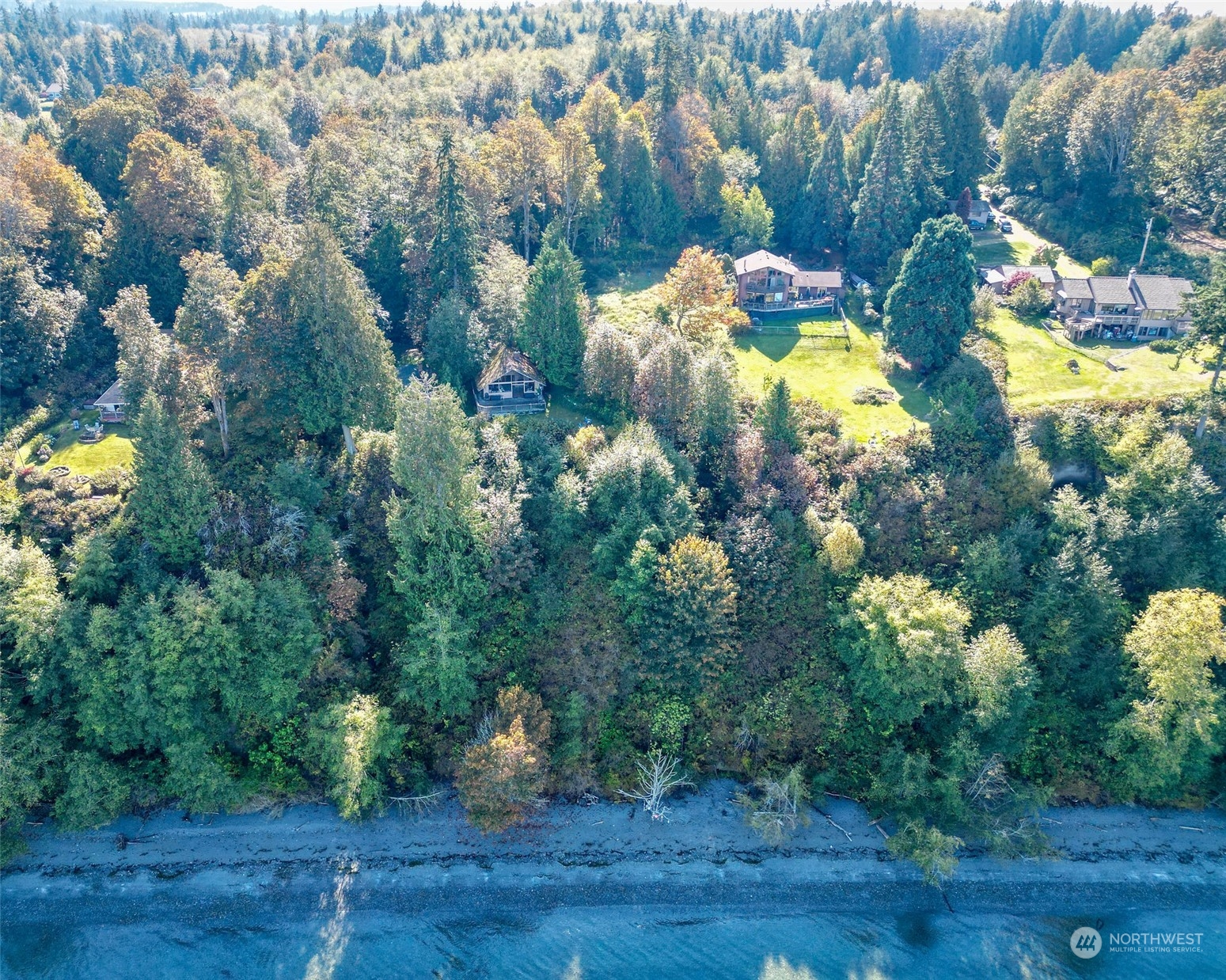 0 Northeast Twin Spits Road Hansville, WA 98340 - Photo 13 of 29 a view of a tree with plants in front of it