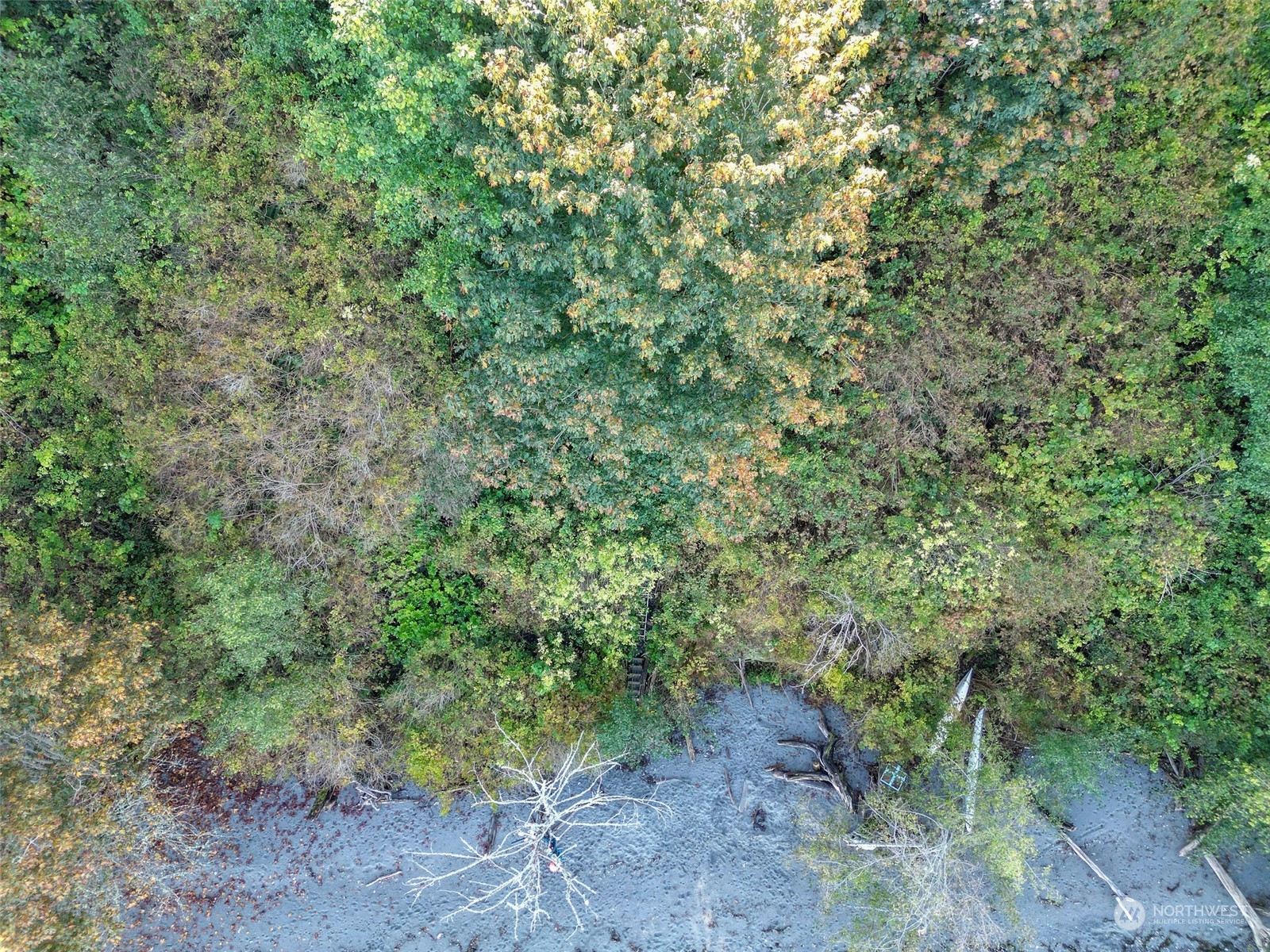 0 Northeast Twin Spits Road Hansville, WA 98340 - Photo 16 of 29 a view of a forest with lots of trees