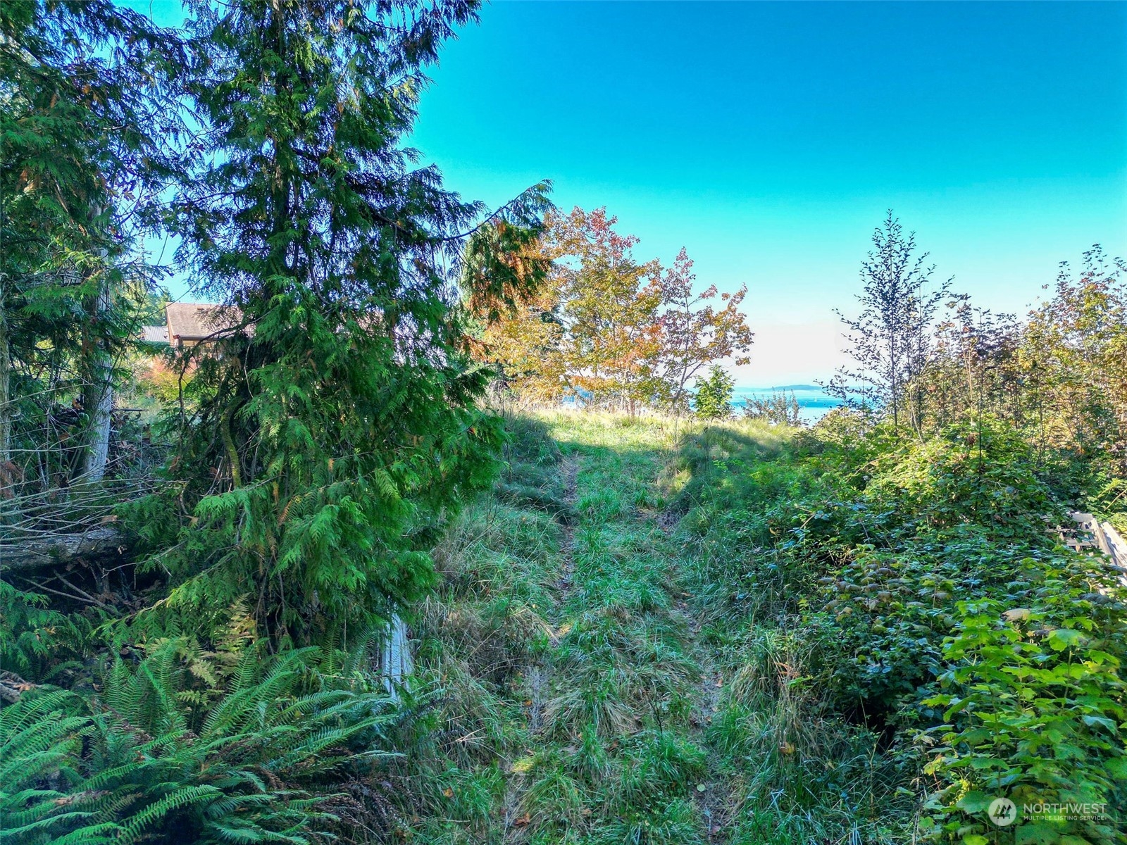 0 Northeast Twin Spits Road Hansville, WA 98340 - Photo 25 of 29 a view of a tree with a tree in front of it