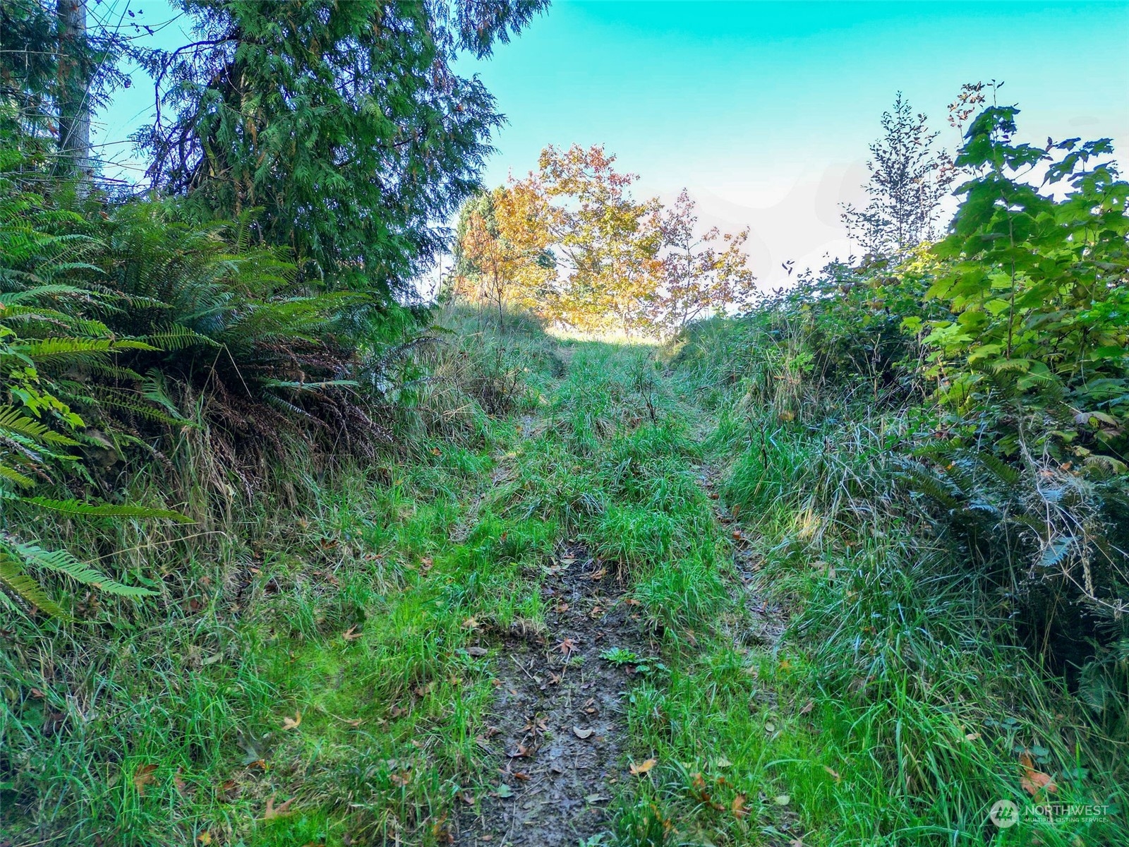 0 Northeast Twin Spits Road Hansville, WA 98340 - Photo 26 of 29 a view of a lush green space