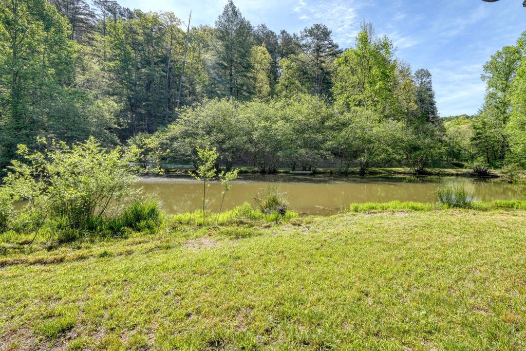 1493 Greasy Creek Road Brasstown, NC 28902 - Photo 37 of 51