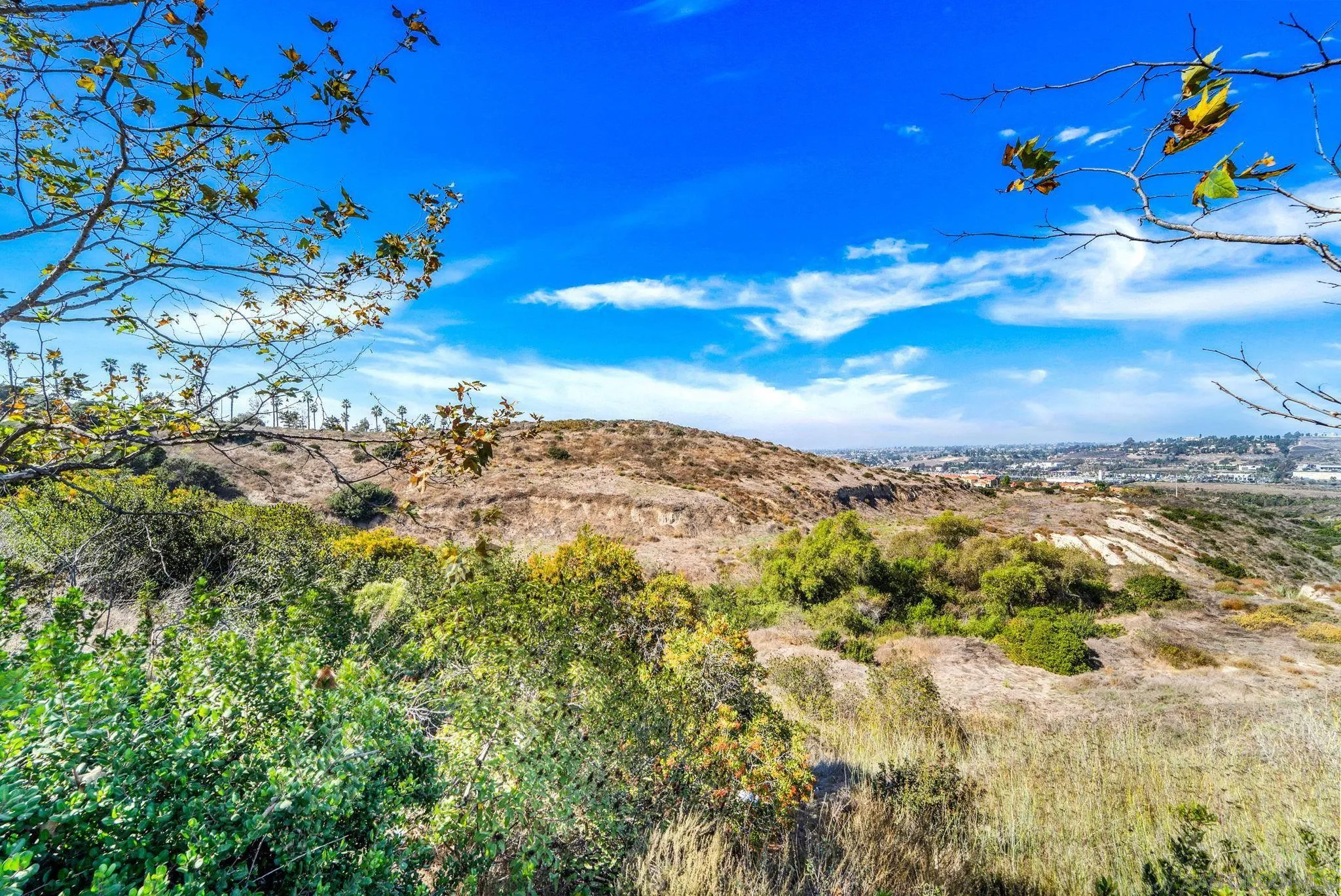 812 Compass Way San Diego, CA 92154 - Photo 35 of 39