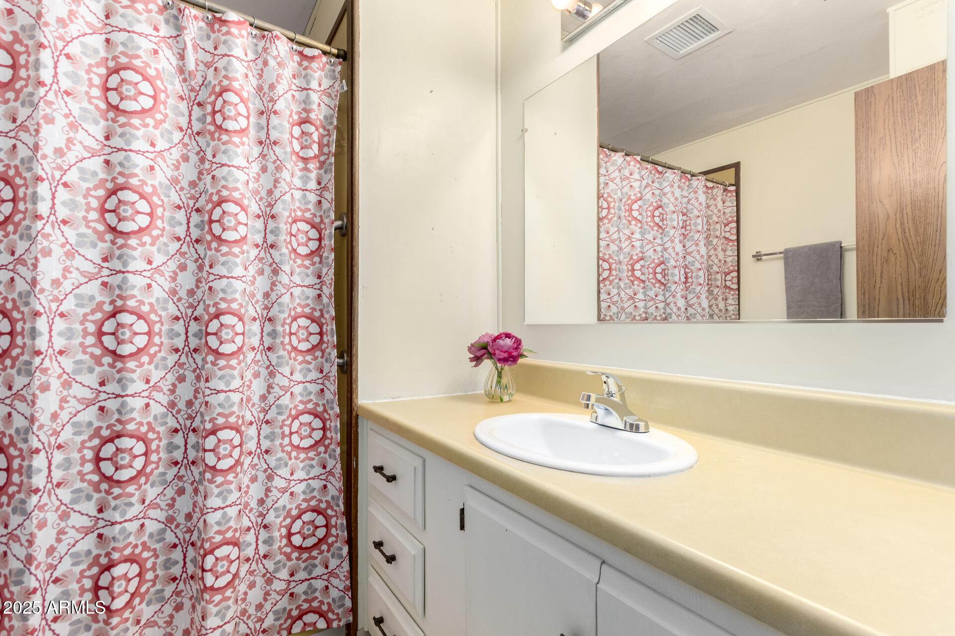 2700 East Allred Avenue, Unit R89 Mesa, AZ 85204 - Photo 18 of 28 a bathroom with a sink and a mirror