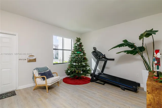 a room with furniture and a potted plant