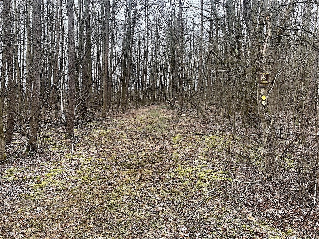 7523 Miller Road West Almond, NY 14804 - Photo 16 of 22