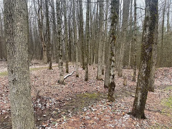 $179,900 | 7523 Miller Road, West Almond, NY 14804