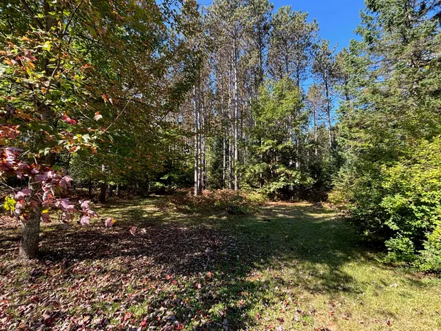 $365,000 | 16961 National Forest Road 2618, Townsend, WI 54175