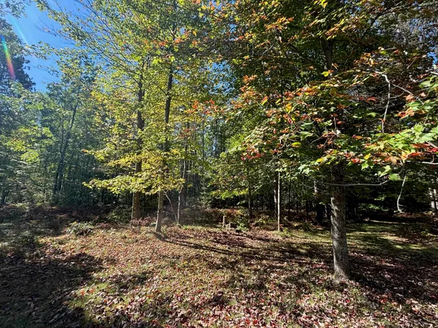 $365,000 | 16961 National Forest Road 2618, Townsend, WI 54175
