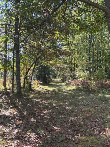 $365,000 | 16961 National Forest Road 2618, Townsend, WI 54175