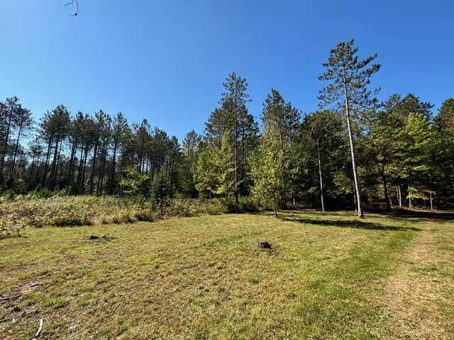 $365,000 | 16961 National Forest Road 2618, Townsend, WI 54175