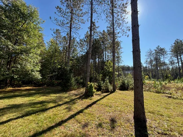 $365,000 | 16961 National Forest Road 2618, Townsend, WI 54175