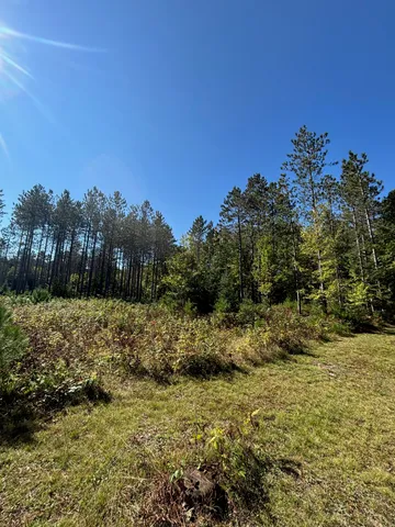 $365,000 | 16961 National Forest Road 2618, Townsend, WI 54175