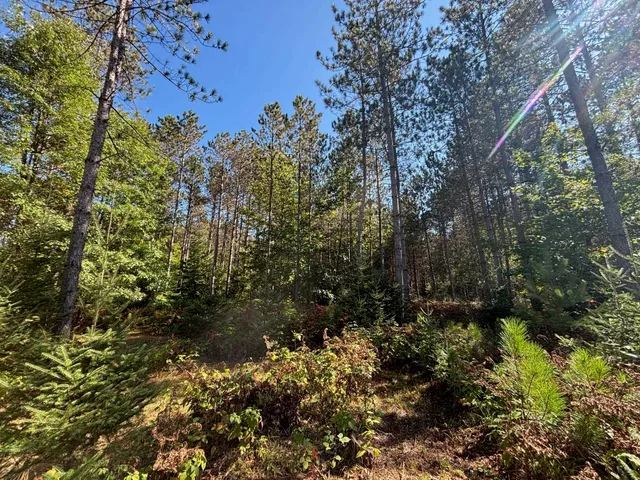 $365,000 | 16961 National Forest Road 2618, Townsend, WI 54175