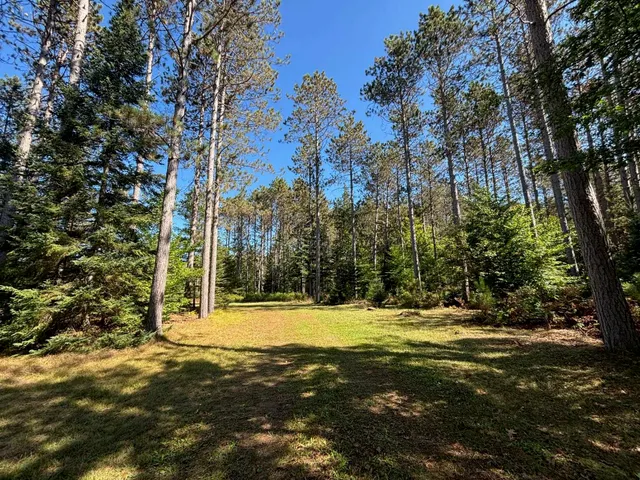 $365,000 | 16961 National Forest Road 2618, Townsend, WI 54175