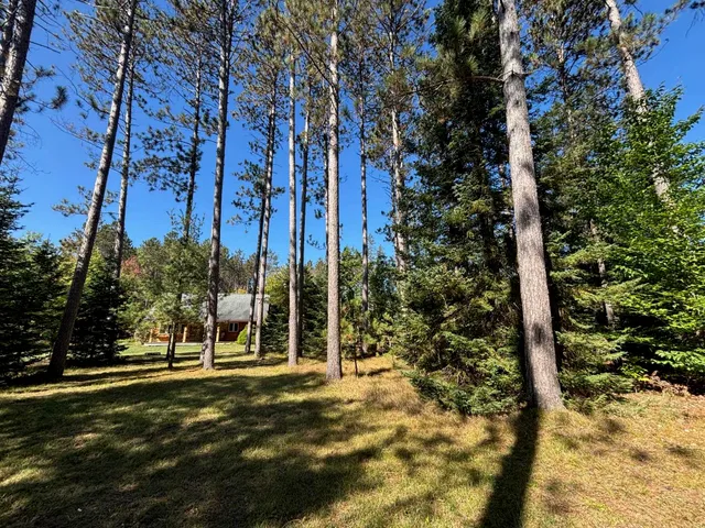 $365,000 | 16961 National Forest Road 2618, Townsend, WI 54175
