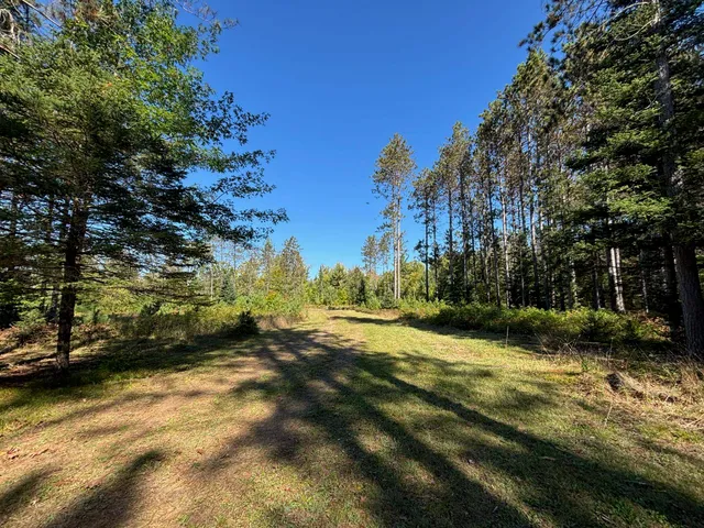 $365,000 | 16961 National Forest Road 2618, Townsend, WI 54175