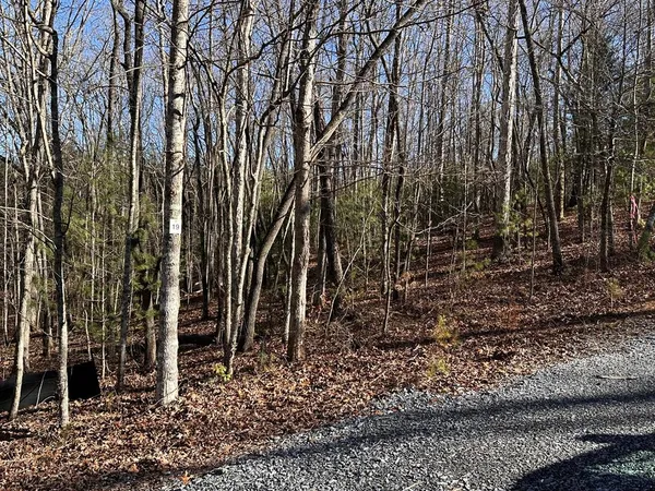$74,900 | Lot 19 Fairview Drive, Morganton, GA 30560