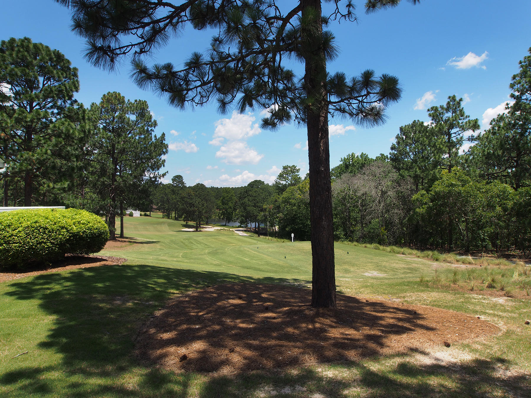 265 Knoll Road Southern Pines, NC 28387 - Photo 28 of 32 golf1