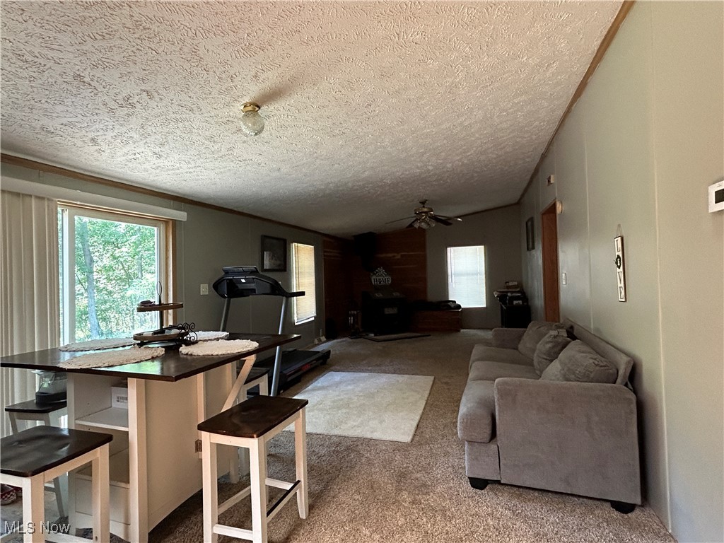 8081 Big Run Road Gambier, OH 43022 - Photo 3 of 28 Dining room and Bonus room with ceiling fan, a textured ceiling, and carpet