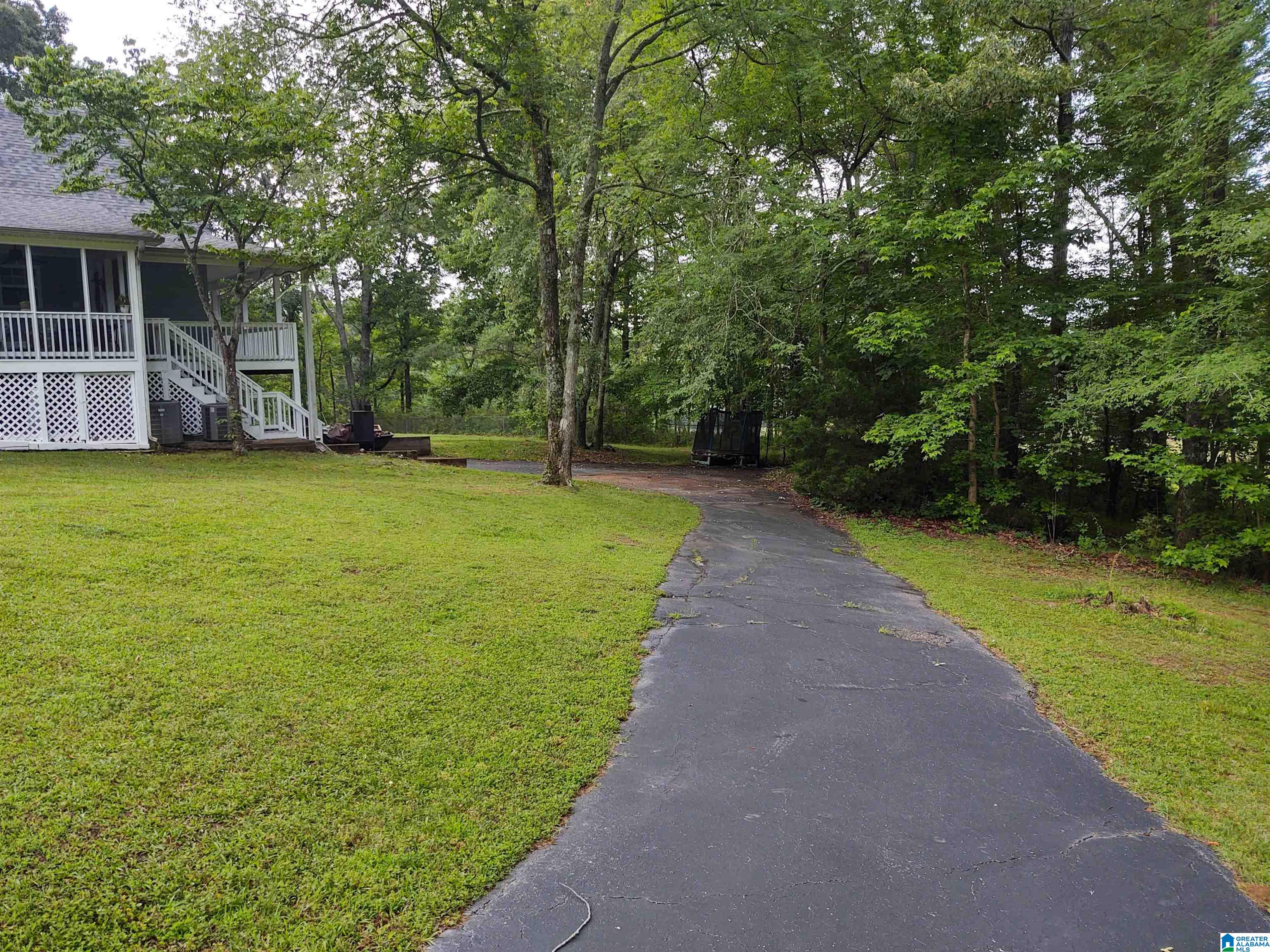 3409 Red Valley Road Remlap, AL 35133 - Photo 3 of 59