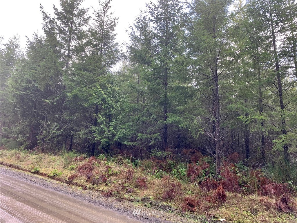 2 Southeast Ellis Road Shelton, WA 98584 - Photo 8 of 8 Gallery Image 8