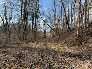 132 Hurd Road Canton, NC 28716 - Photo 31 of 41