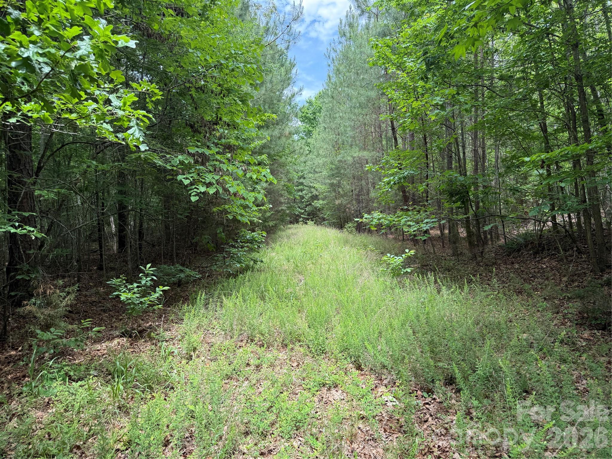 0 Herbert Faucette Road Bullock, NC 27507 - Photo 13 of 40