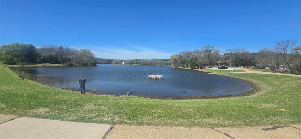 8300 Trophy Pointe Larue, TX 75770 - Photo 11 of 22 a view of a lake and green valley