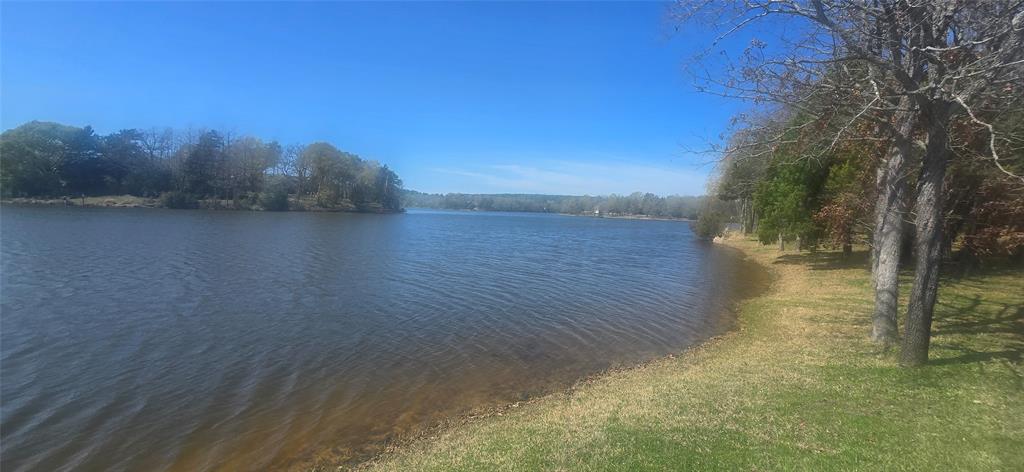 8300 Trophy Pointe Larue, TX 75770 - Photo 18 of 22 a view of a lake from a yard