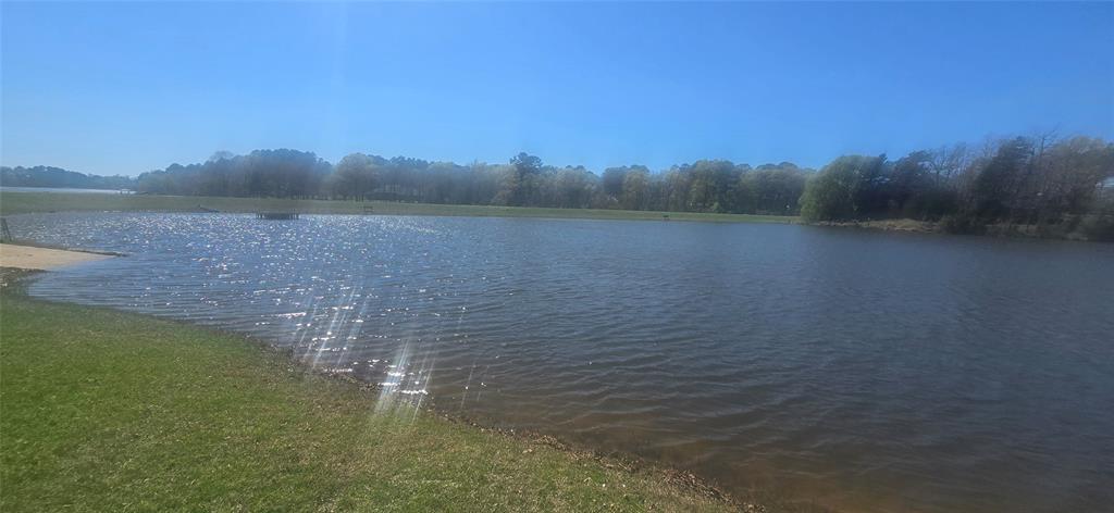 8300 Trophy Pointe Larue, TX 75770 - Photo 19 of 22 a view of a lake from a yard
