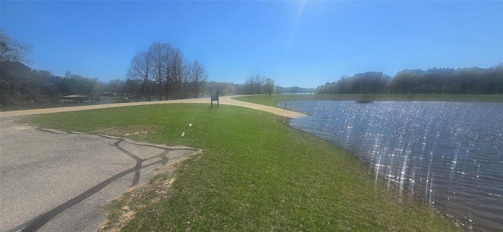 8300 Trophy Pointe Larue, TX 75770 - Photo 20 of 22 a view of a field with large trees