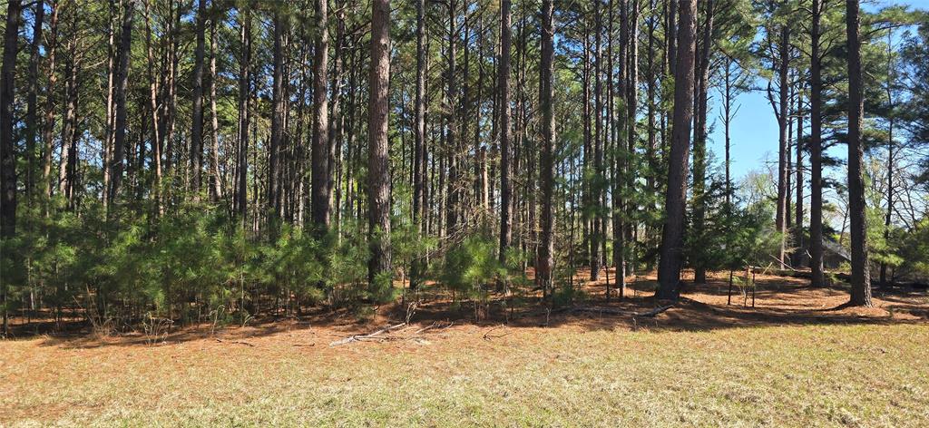 8300 Trophy Pointe Larue, TX 75770 - Photo 22 of 22 a view of road and trees