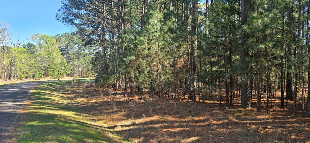 8300 Trophy Pointe Larue, TX 75770 - Photo 5 of 22 a view of a trees with a yard