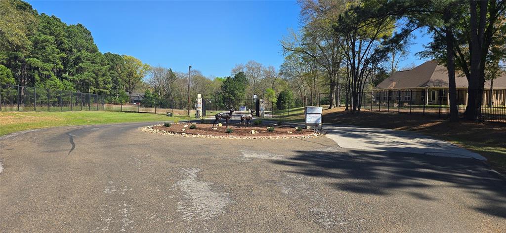 8300 Trophy Pointe Larue, TX 75770 - Photo 9 of 22 a view of outdoor space with garden and trees